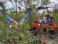 Piloto é encontrado morto após queda de ultraleve em Mato Grosso