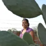 Mulheres lideram produção em duas de cada dez propriedades rurais