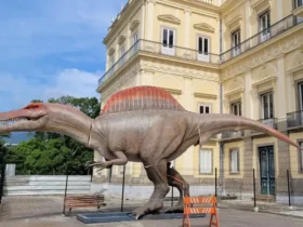 Dinossauro ganha destaque no Museu Nacional com réplica de 15 metros