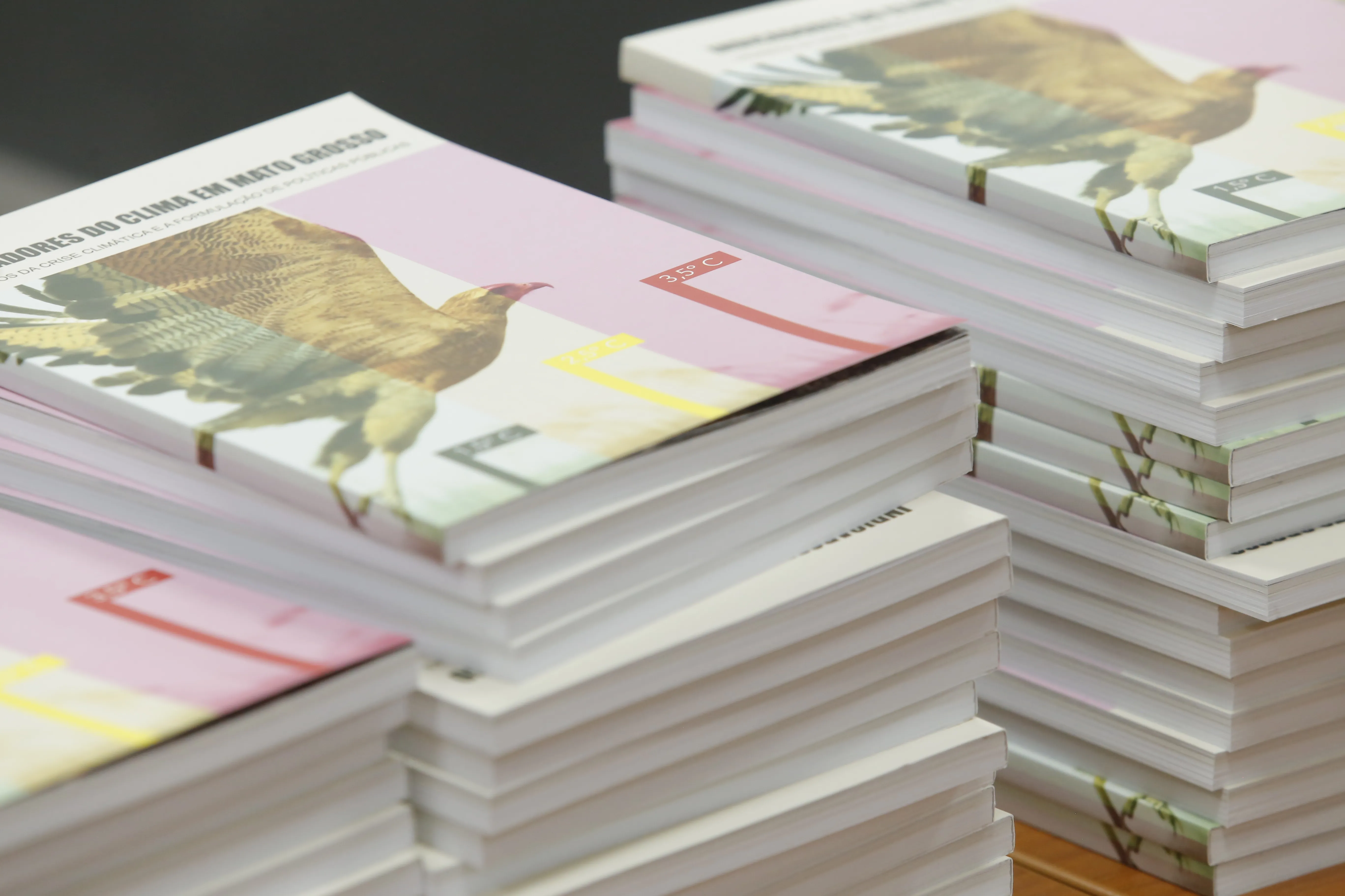 Clima guia novo livro sobre desafios em Mato Grosso