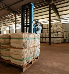 Dia Mundial do Meio Ambiente destaca importância da logística reversa no agronegócio