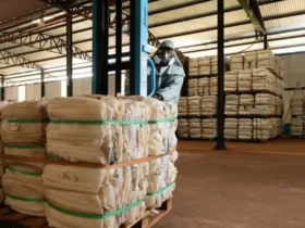 Dia Mundial do Meio Ambiente destaca importância da logística reversa no agronegócio