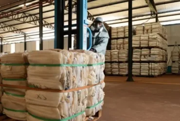 Dia Mundial do Meio Ambiente destaca importância da logística reversa no agronegócio