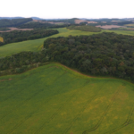 Pesquisas brasileiras apontam caminhos para reduzir emissões e fortalecer a sustentabilidade no agro