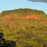 MT Trifásico deve transformar agricultura familiar em Mato Grosso