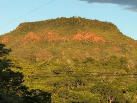 MT Trifásico deve transformar agricultura familiar em Mato Grosso