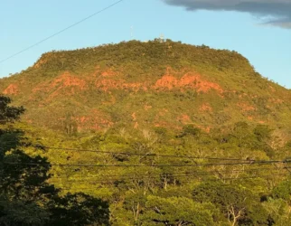 MT Trifásico deve transformar agricultura familiar em Mato Grosso