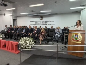 Ana Luiza Peterlini