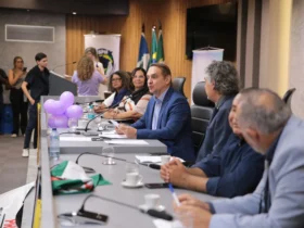 Educação infantil pauta audiência sobre reconhecimento