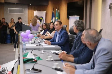 Educação infantil pauta audiência sobre reconhecimento