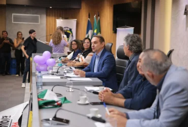 Educação infantil pauta audiência sobre reconhecimento