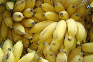Banana, alface e outras hortaliças registram queda de preços em maio nas Ceasas, aponta Conab