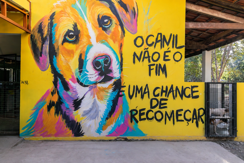 Prefeitura de Cuiabá abre credenciamento de clínicas e hospitais veterinários para animais resgatados