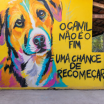Prefeitura de Cuiabá abre credenciamento de clínicas e hospitais veterinários para animais resgatados