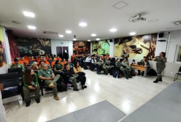 Bombeiros no resgate de animais silvestres em incêndios florestais