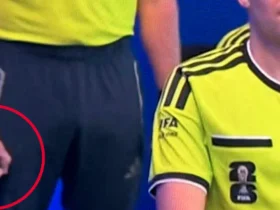 COMBO VAR.jpg -CenárioMT