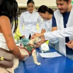 Campanha antirrábica de Sinop atinge a marca de 8,2 mil cães e gatos imunizados