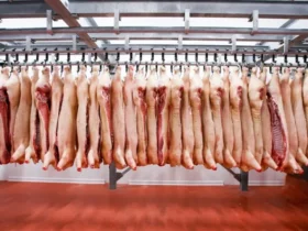 Carne_Suina_659fd3ee875d7