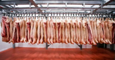 Carne_Suina_659fd3ee875d7