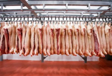 Carne_Suina_659fd3ee875d7