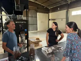 Programa REM MT impulsiona cafeicultura em Sol Nascente