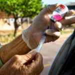 Sinop divulga cronograma semanal da vacinação antirrábica itinerante nos bairros