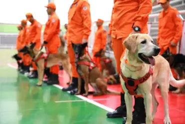Certificação nacional de cães de busca e resgate aprova 18 binômios em MT