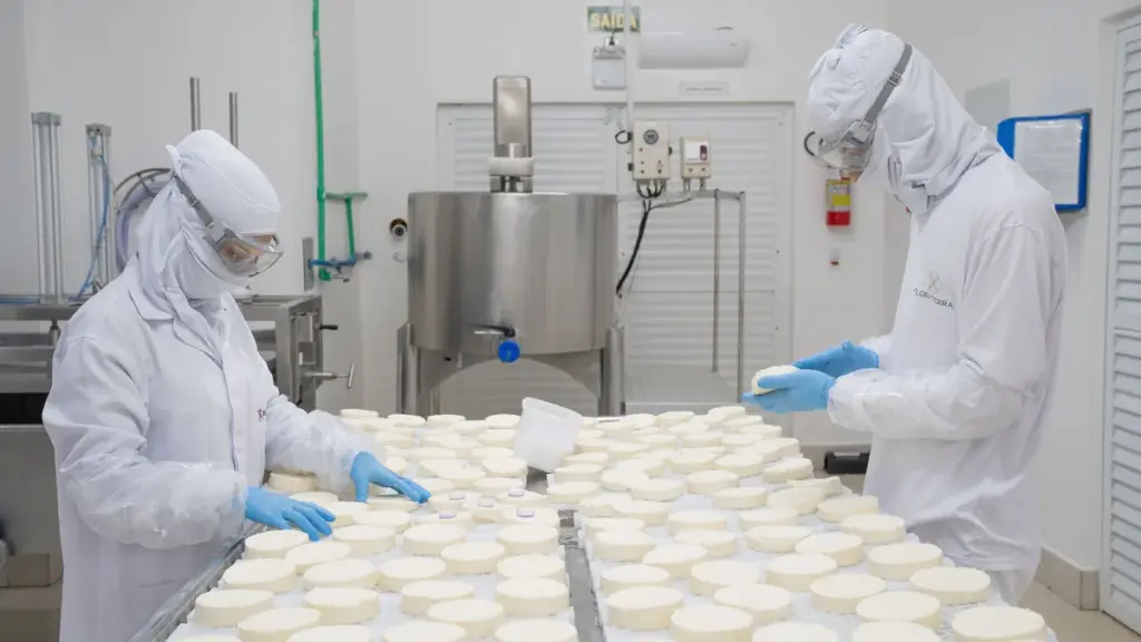 10 curiosidades surpreendentes sobre o queijo que quase ninguém conhece