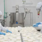 10 curiosidades surpreendentes sobre o queijo que quase ninguém conhece