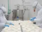 10 curiosidades surpreendentes sobre o queijo que quase ninguém conhece