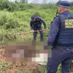 Guarda Municipal localiza corpo de jovem de 29 anos enterrado em cova rasa em Várzea Grande