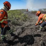 Corpo de Bombeiros de Mato Grosso abre processo seletivo com 150 vagas para brigadistas temporários
