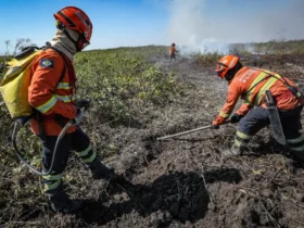 Brigadistas temporários MT: CBMMT abre 150 vagas