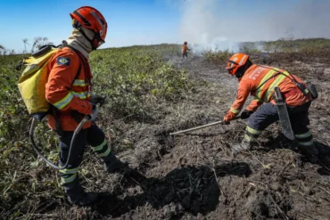 Brigadistas temporários MT: CBMMT abre 150 vagas
