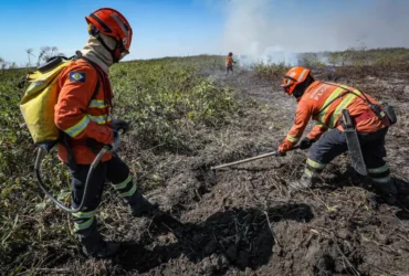 Brigadistas temporários MT: CBMMT abre 150 vagas