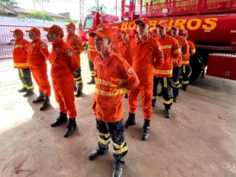 Incêndios florestais em MT: Bombeiros antecipam envio de equipes