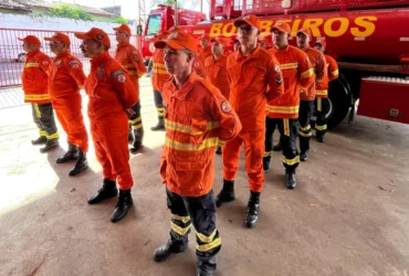 Incêndios florestais em MT: Bombeiros antecipam envio de equipes