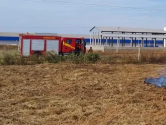 Incêndios em vegetação mobilizam bombeiros em Confresa e Primavera do Leste