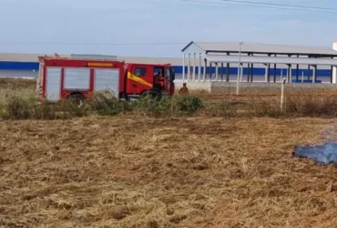 Incêndios em vegetação mobilizam bombeiros em Confresa e Primavera do Leste