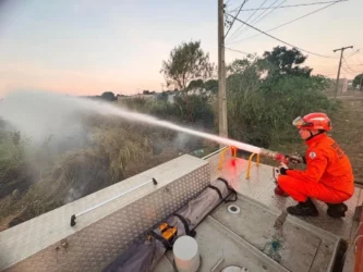 Incêndio em vegetação mobiliza bombeiros em Alto Araguaia