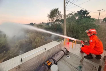 Incêndio em vegetação mobiliza bombeiros em Alto Araguaia