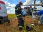 Bombeiros realizam desencarceramento de motorista após tombamento de carreta na BR-364