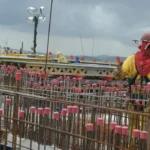 Custo da construção segue estável em maio, enquanto aço e cimento ampliam queda em 2026