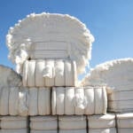 Exportações de algodão podem atingir novo recorde em junho