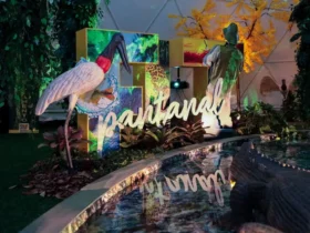 FIT Pantanal 2026 reúne 100 mil pessoas e movimenta turismo de MT