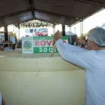 Curvelândia se prepara para produzir novamente o maior queijo frescal do Brasil