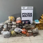 Força Tática usa drones, localiza tonéis enterrados e apreende 169 tabletes de maconha em VG