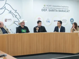 Feminicídio: comissão conclui debates na ALMT