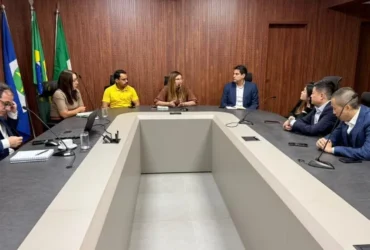 Grupo Zhongtuo avalia usina de lixo em energia em Mato Grosso