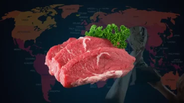 Copa 2026: Mato Grosso acelera biossegurança para faturar com explosão na demanda de carne